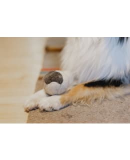 PAWILLA MIDI VILLAPALLO KOIRILLE Main Image