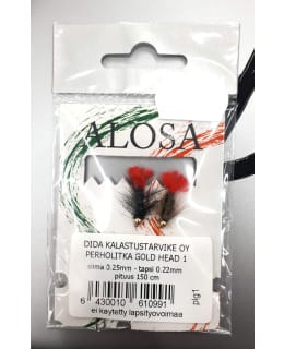 DIDA GOLD HEAD 1 PERHOLITKA Main Image