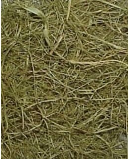 KNORR PRANDELL MERIHEINÄ 100 G Main Image