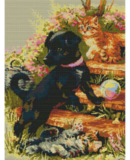 FARNIA DA350 36X46 RISTIPISTOPAKKAUS Main Image