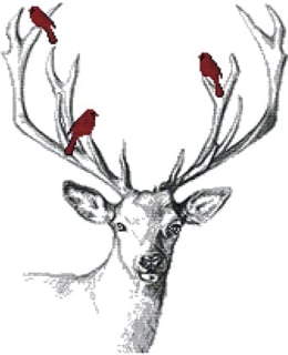 FARNIA DA388 55X60 CROSS STITCH KIT Main Image