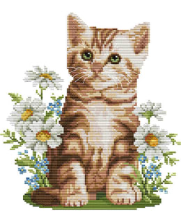 FARNIA DA413 35X38 CROSS STITCH KIT Main Image