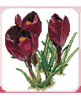 FARNIA H259 28X33 CROSS STITCH KIT Main Image