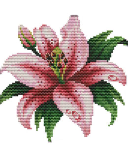 FARNIA H381 26X26 CROSS STITCH KIT Main Image