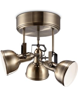 SESSAK TEODOR 3-OS ANT.MESS KOHDEVALAISI Main Image