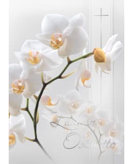 KORTTIRIIHI D3820 ORKIDEA ADRESSI Main Image