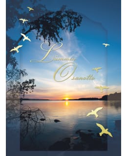 KORTTIRIIHI D3815 TAIVAANRANTA ADRESSI Main Image