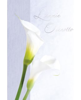 KORTTIRIIHI D1128 KALLAT ADRESSI Main Image