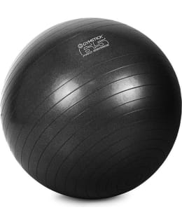 GYMSTICK PRO EXERCISE 65 JUMPPAPALLO Main Image