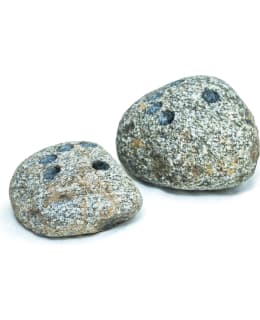 Fitrocks otekivi Main Image