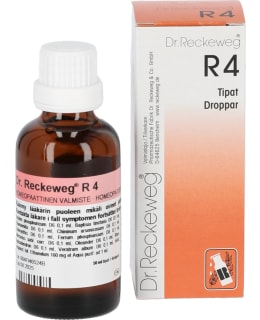 R4 50 ML RIPULITIPAT Main Image