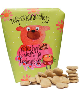 EE KIITOS HYVÄSTÄ HOIDOSTA KARKKI Main Image