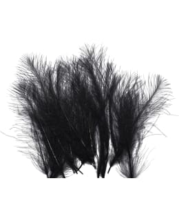 CDC BLACK Main Image