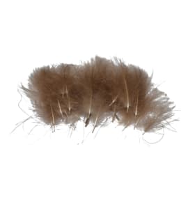 CDC NAT BROWN Main Image