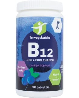 B12+B6+FOLIC ACID SUCKABLE BLUEB 90TABL Main Image