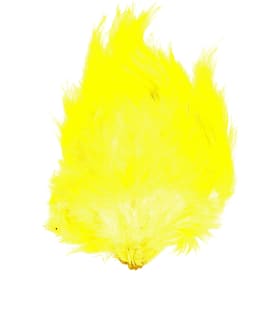 EUMER INTIALAINEN KUKONSATULA KELTAINEN Main Image