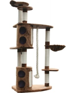 SUKLAAPUOTI  KIIPEILYPUU Main Image