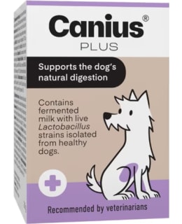 CANIUS PLUS 30G LACTIC ACID BACTERIA Main Image