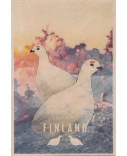 CTF RIEKOT BY TANJA SANILA PUUKORTTI Main Image