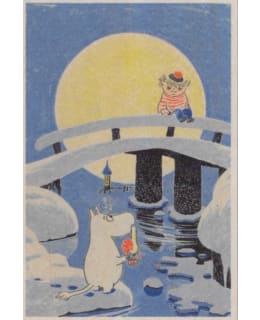 CTF TALVI PUUKORTTI Main Image