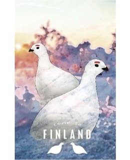 CTF RIEKOT BY TANJA SANILA POSTIKORTTI Main Image