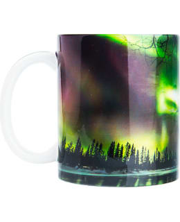 HAPPY ORANGE REVONTULI MUKI Main Image