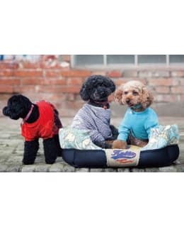 KATSU 55X35X23 CM LUONTO PETI Main Image