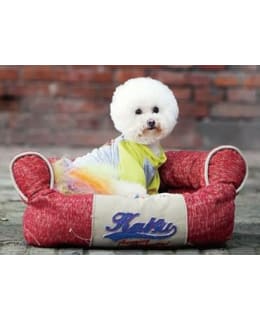 KATSU 75X50X20 CM PUNAINEN REUNAPETI Main Image