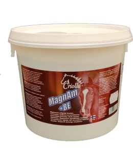 Criollo MagnAm+BE Main Image
