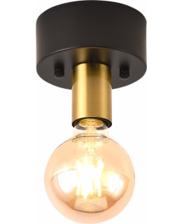 FOCUSLIGHT SUZY 1-OS. MST/MES KATTOVAL Main Image