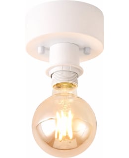 FOCUSLIGHT DENNIS 12 1XE27 VA KATTOVAL Main Image