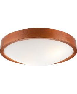 FOCUSLIGHT LUNA 370MM RSK PLAFONDI Main Image