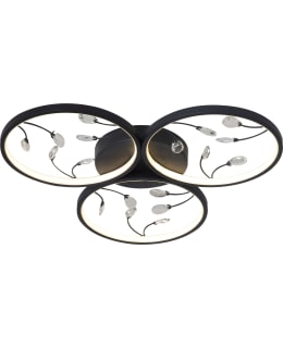 FOCUSLIGHT RINGS 62 HIM MST LEDKATTOVAL Main Image