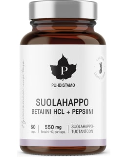 PUHDISTAMO 60KAPS SUOLAHAPPO Main Image