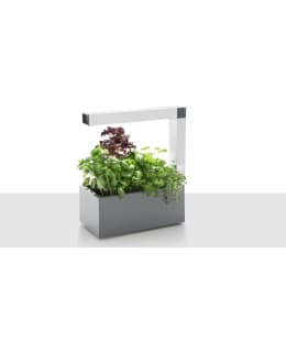 Tregren Herbie Gray Indoor Garden Main Image