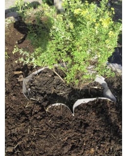 HORTEX 12M2 JUURIMATTO Main Image