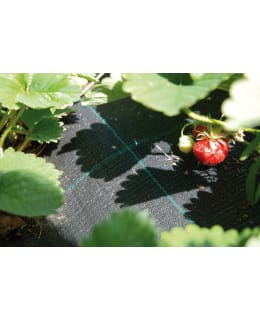 HORTEX MANSIKKA-KATEKANGAS 20 M² Main Image