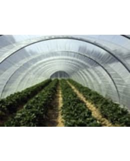 HORTEX 8,50X20M EVA-KALVO Main Image