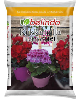 BELINDA 12L KUKKAMULTA Main Image