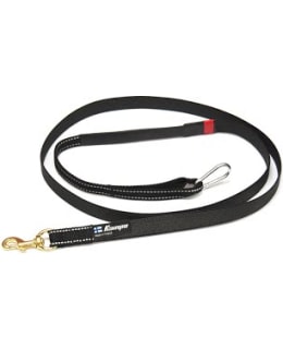 KAINPO YHDEN KOIRAN PYÖRÄLIINA Main Image