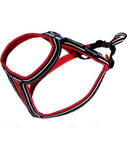 KAINPO SPRINT 4 HARNESS Main Image