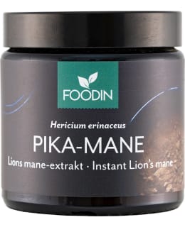 FOODIN 40 G PIKA-MANE Main Image