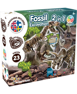 SCIENCE4YOU FOSSIL 2-IN-1 Main Image