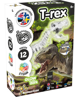 SCIENCE4YOU TREX GLOW IN THE DARK Main Image