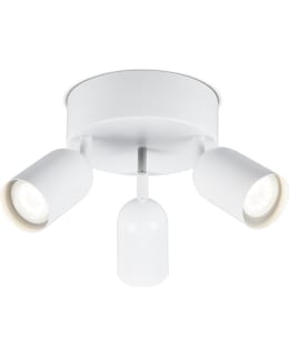 SESSAK KIPPO 3-LT CEIL.SPOTLIGHT WHITE Main Image