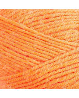 KAUPUNKILANKA KIVIJALKA 100G 71/OR LANK Main Image