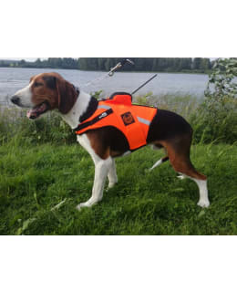 Kardog Jehu S kelluttava koiran valjas Main Image