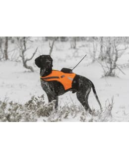 Kardog Raipe dog harness Main Image