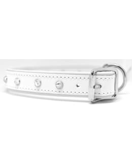 NN 55CM 25MM VA SOLKISTRASSIPANTA Main Image