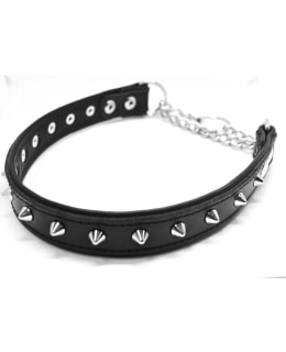 NN 50CM 25MM MU PK-NIITTIPANTA Main Image